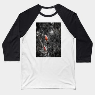 Galah_9001A Baseball T-Shirt